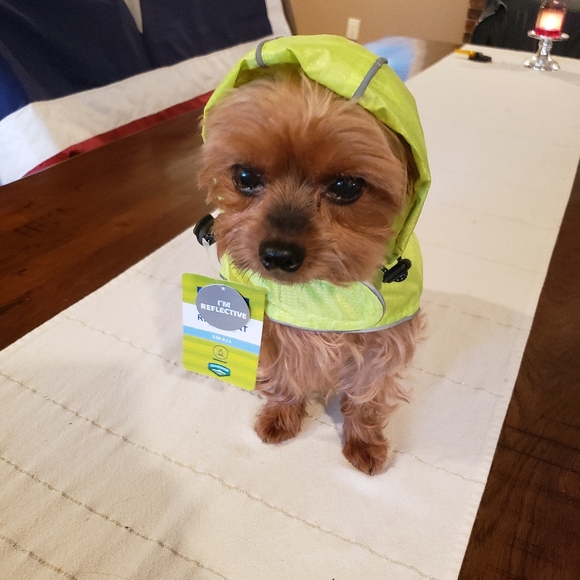 Reflective Dog Hooded Rain Jacket S - Picture 10 of 16